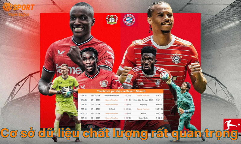 Nhận Định Soi Kèo Bóng Đá Đức - Tỷ lệ và cách soi kèo chuẩn - PIVEX.ONE