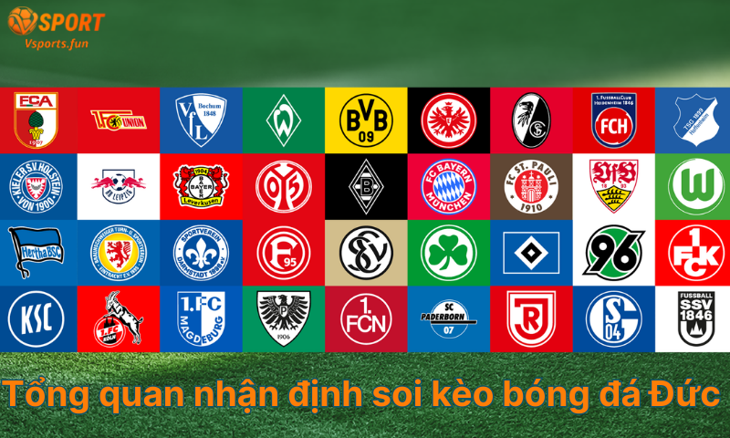 Nhận Định Soi Kèo Bóng Đá Đức - Tỷ lệ và cách soi kèo chuẩn - PIVEX.ONE