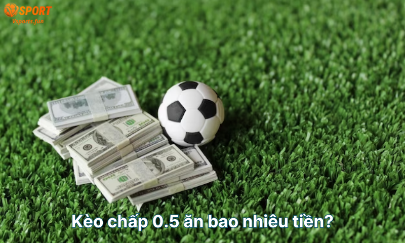 Kèo Chấp 0.5 Là Gì? 5 Bí Quyết Soi Kèo Chuẩn Xác Nhất - PIVEX.ONE