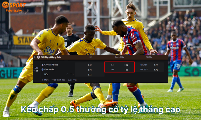Kèo Chấp 0.5 Là Gì? 5 Bí Quyết Soi Kèo Chuẩn Xác Nhất - PIVEX.ONE
