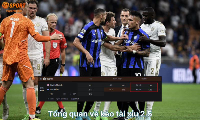 Kèo tài xỉu 2.5 là gì? 3 điều cơ bản bạn cần biết - PIVEX.ONE
