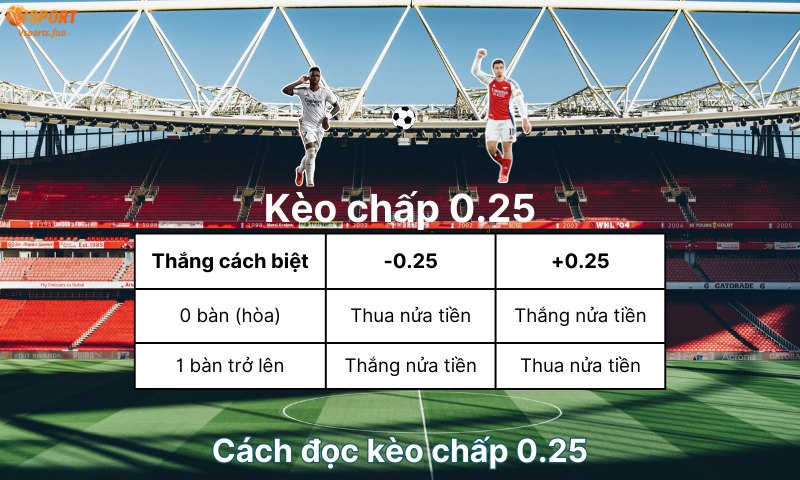 Kèo chấp 0.25. Kèo chấp 0.25 là gì? 3 điều quan trọng cần biết - PIVEX.ONE