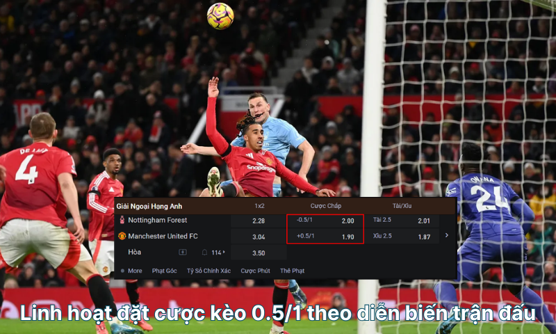 Kèo chấp 0.5/1 là gì? Cách tính tiền & 5 mẹo chơi hiệu quả - PIVEX.ONE