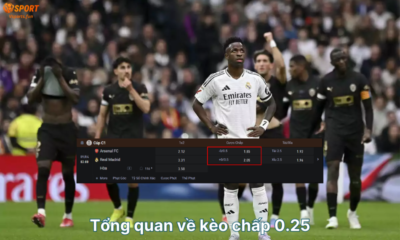 Kèo chấp 0.25. Kèo chấp 0.25 là gì? 3 điều quan trọng cần biết - PIVEX.ONE