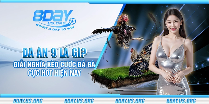 Đá ăn 9 là gì? Giải nghĩa kèo cược đá gà cực hot hiện nay - PIVEX.ONE