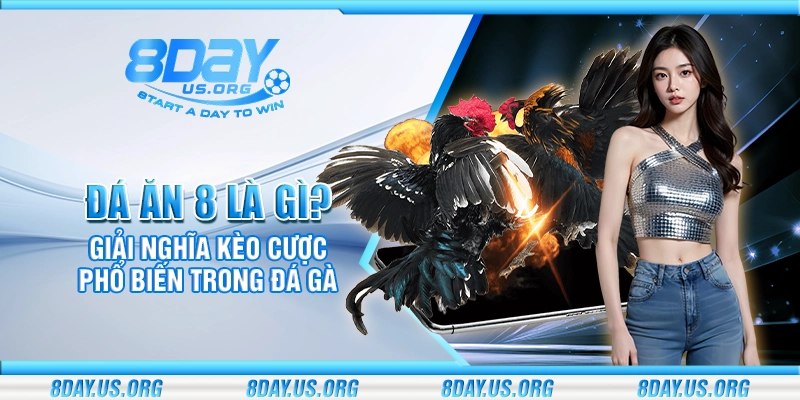 Đá ăn 8 là gì? Giải nghĩa kèo cược phổ biến trong đá gà - PIVEX.ONE