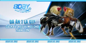 Đá gà 8Day – Mãn nhãn từng trận đấu kịch tính - PIVEX.ONE