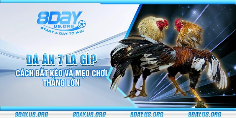 Đá ăn 7 là gì? Cách bắt kèo và mẹo chơi thắng lớn - PIVEX.ONE