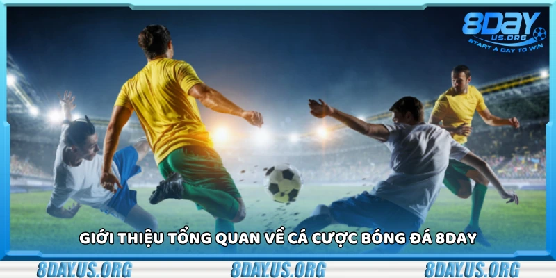 Bóng đá 8Day – Cá cược cực chất thắng lớn từng phút giây - PIVEX.ONE