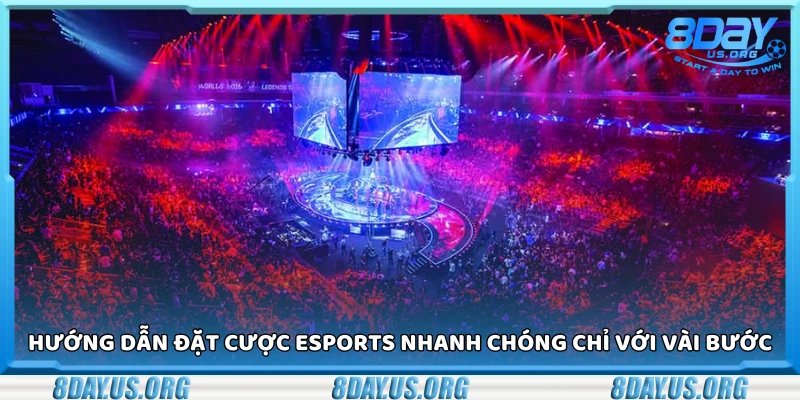Thể thao điện tử 8Day – Kèo đa dạng tỷ lệ hấp dẫn từng trận đấu - PIVEX.ONE