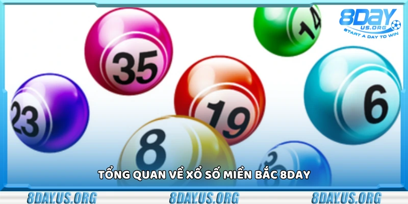 Xổ số miền bắc 8Day – Cơ hội đổi đời trong tầm tay - PIVEX.ONE