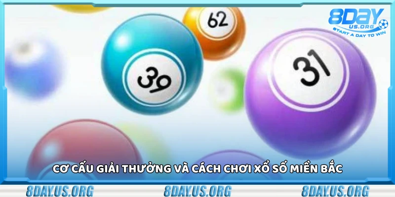 Xổ số miền bắc 8Day – Cơ hội đổi đời trong tầm tay - PIVEX.ONE