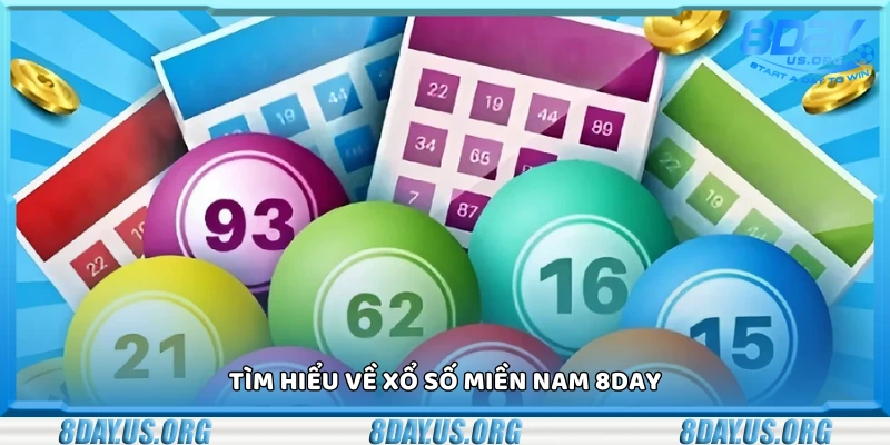 Xổ số Miền Nam 8Day – Cập nhật kết quả nhanh chóng và chính xác - PIVEX.ONE