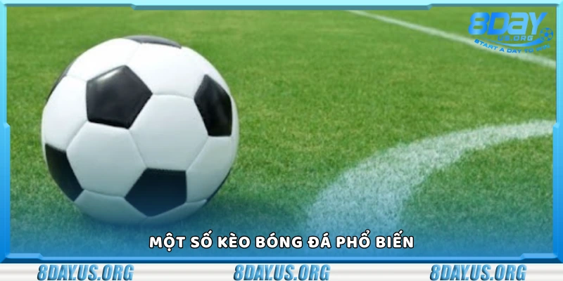 Cách cá cược bóng đá hiệu quả nhất – Bí quyết từ dân chơi lâu năm - PIVEX.ONE