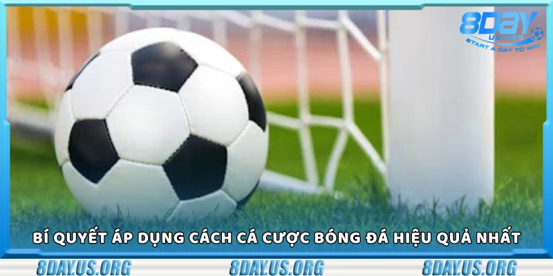 Cách cá cược bóng đá hiệu quả nhất – Bí quyết từ dân chơi lâu năm - PIVEX.ONE