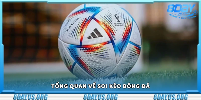 Công thức soi kèo bóng đá chuẩn xác nhất từ dân chơi chuyên nghiệp - PIVEX.ONE