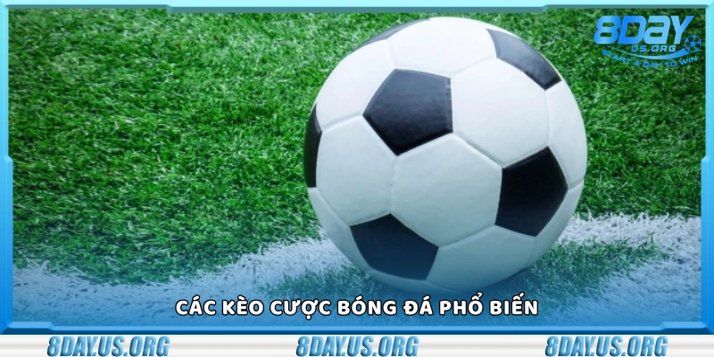 Cược bóng đá là gì? Những điều cần biết trước khi bắt đầu - PIVEX.ONE