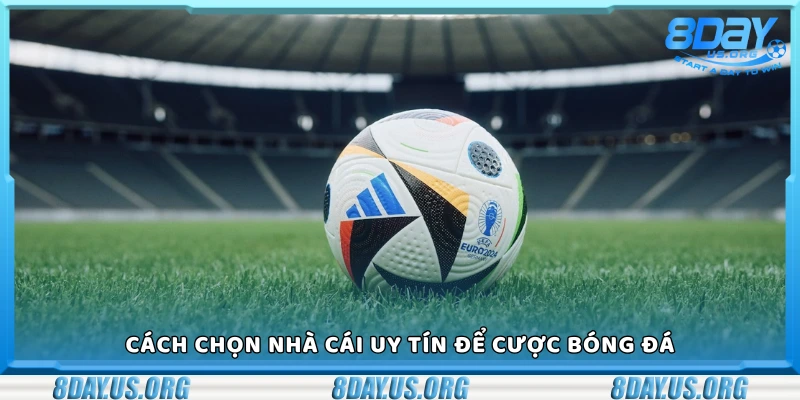 Cược bóng đá là gì? Những điều cần biết trước khi bắt đầu - PIVEX.ONE