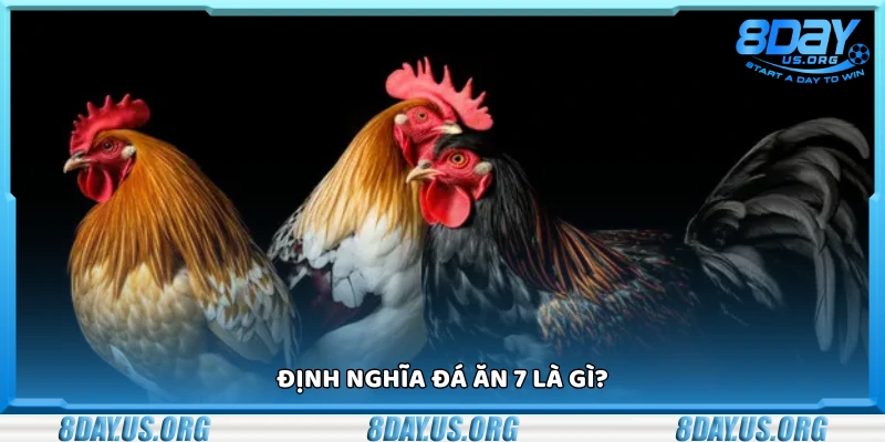 Đá ăn 7 là gì? Cách bắt kèo và mẹo chơi thắng lớn - PIVEX.ONE
