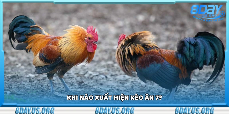 Đá ăn 7 là gì? Cách bắt kèo và mẹo chơi thắng lớn - PIVEX.ONE