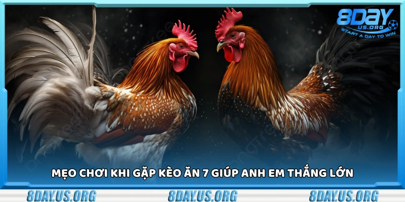 Đá ăn 7 là gì? Cách bắt kèo và mẹo chơi thắng lớn - PIVEX.ONE