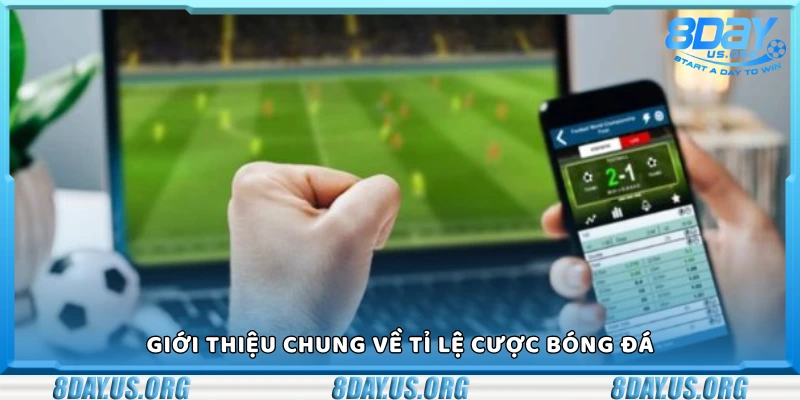 Giải thích tỉ lệ cược bóng đá - Cơ chế nhà cái tiết lộ - PIVEX.ONE