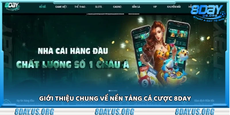Giới thiệu 8day - Nền tảng cá cược đa dạng và uy tín hàng đầu - PIVEX.ONE