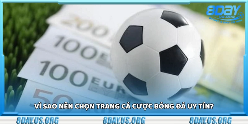 Top trang cá cược bóng đá uy tín giao diện đẹp dễ chơi dễ trúng - PIVEX.ONE