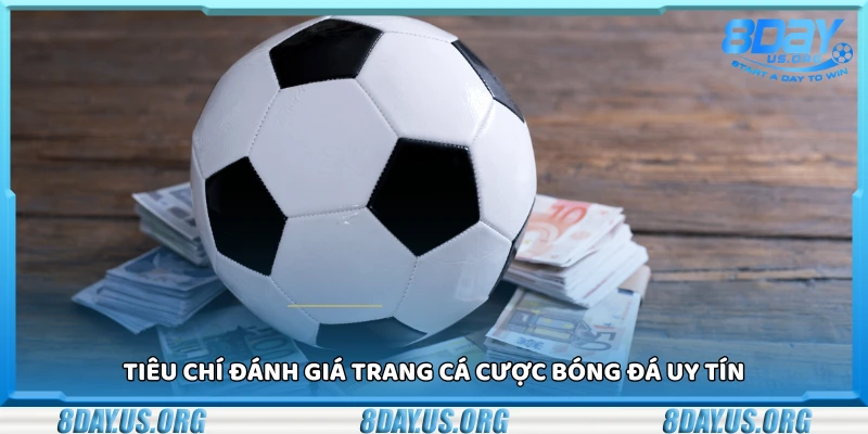 Top trang cá cược bóng đá uy tín giao diện đẹp dễ chơi dễ trúng - PIVEX.ONE