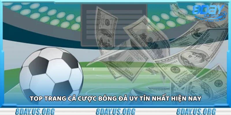 Top trang cá cược bóng đá uy tín giao diện đẹp dễ chơi dễ trúng - PIVEX.ONE