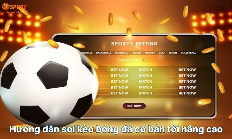 Soi Kèo Bóng Đá Vsport – Nắm Bắt Cơ Hội Thắng Kèo Mỗi Ngày - PIVEX.ONE