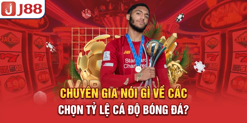 Tỷ Lệ Cá Độ Bóng Đá - Cẩm Nang Đọc Và Ứng Dụng Chính Xác - PIVEX.ONE Tỷ Lệ Cá Độ Bóng Đá - Cẩm Nang Đọc Và Ứng Dụng Chính Xác - PIVEX.ONE