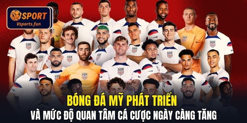 Nhận Định Bóng Đá Mỹ Chuẩn Xác, Soi Kèo Thắng Lớn Tại Vsport - PIVEX.ONE