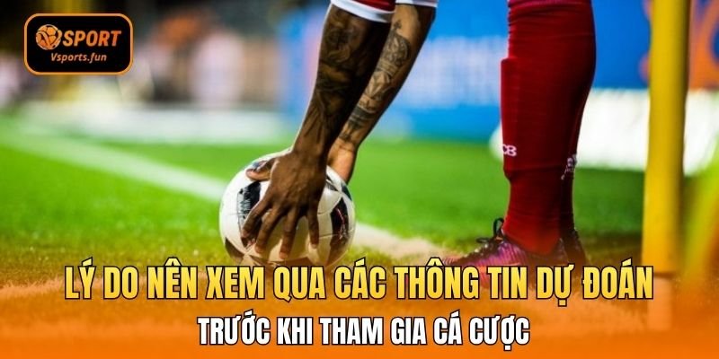 Bắt Trọn Kèo Thơm Cùng Chuyên Gia Nhận Định Bóng Đá Tối Nay - PIVEX.ONE