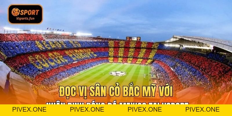 Nhận Định Bóng Đá Vsport – Bí Kíp Nhận Định Chuẩn Xác - PIVEX.ONE