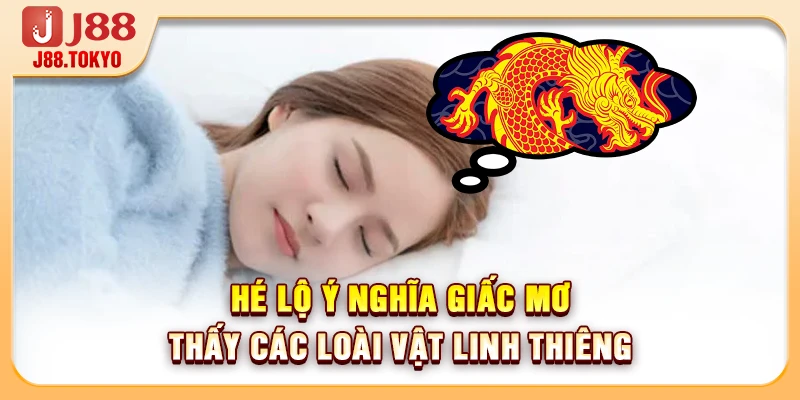 Bảng Số Đề Giải Mã Giấc Mơ Chi Tiết - 99% Trúng Lớn Ngay - PIVEX.ONE