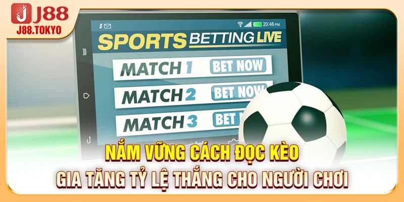Kèo Nhà Cái: Top 4 Siêu Phẩm Dự Đoán Bóng Đá Hot Nhất 2026 - PIVEX.ONE
